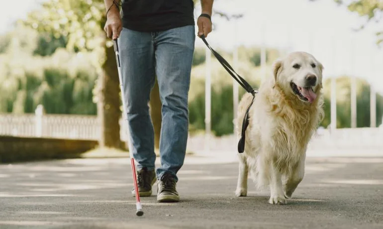 Los beneficios transformadores de los animales de apoyo emocional