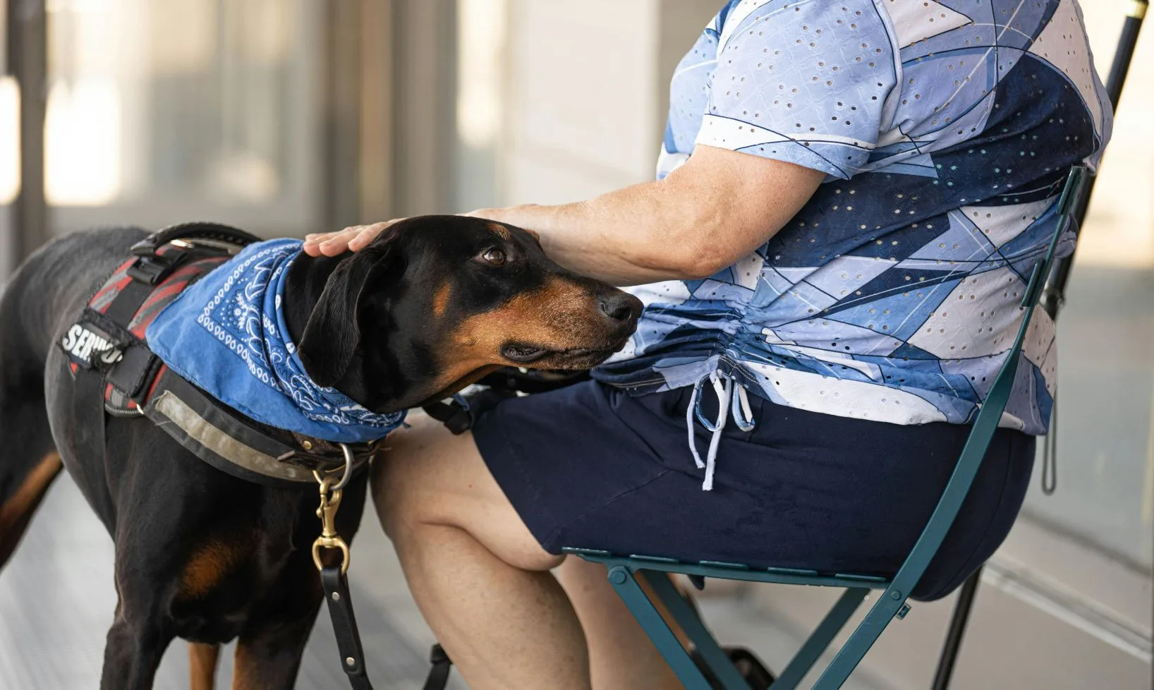 Cómo obtener una carta de animal de apoyo emocional el mismo día para vivienda: guía completa